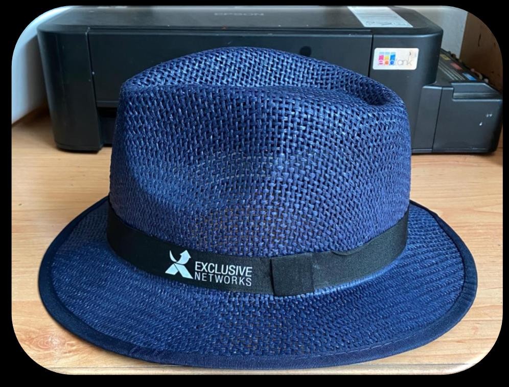 Chapeau panama