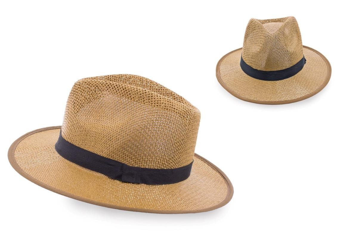 Chapeau panama