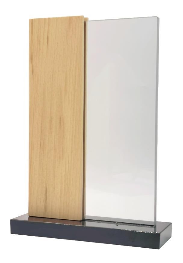 Trophée en cristal rectangle demi bois socle noir